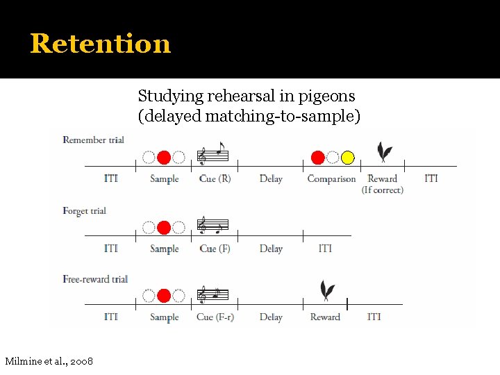 Retention Studying rehearsal in pigeons (delayed matching-to-sample) Milmine et al. , 2008 