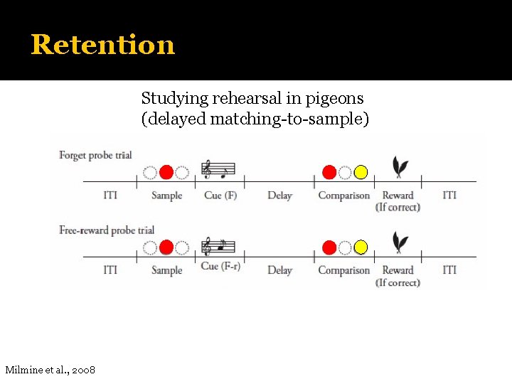 Retention Studying rehearsal in pigeons (delayed matching-to-sample) Milmine et al. , 2008 