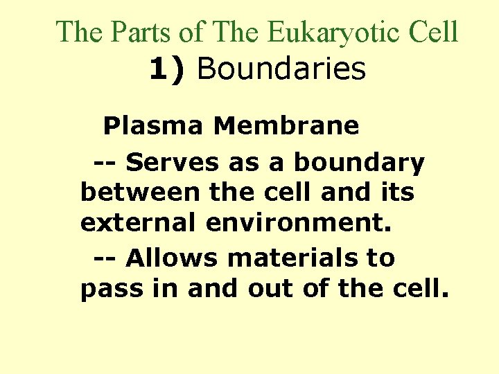 The Parts of The Eukaryotic Cell 1) Boundaries A) Plasma Membrane -- Serves as