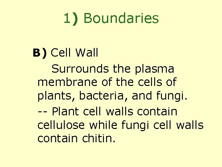 1) Boundaries B) Cell Wall -- Surrounds the plasma membrane of the cells of