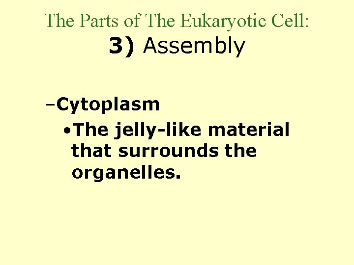 The Parts of The Eukaryotic Cell: 3) Assembly –Cytoplasm • The jelly-like material that