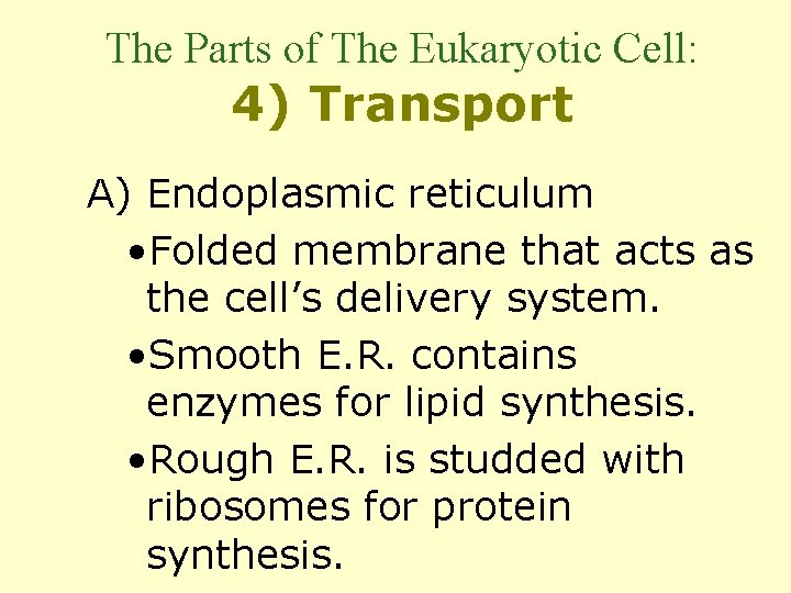 The Parts of The Eukaryotic Cell: 4) Transport A) Endoplasmic reticulum • Folded membrane
