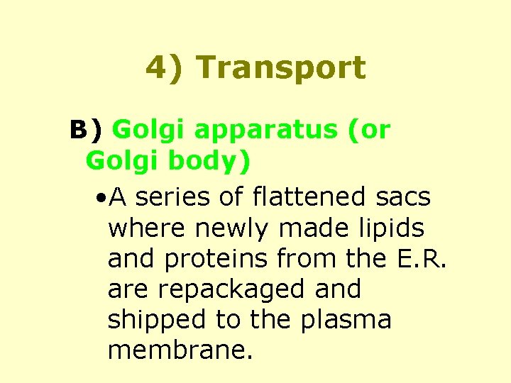 4) Transport B) Golgi apparatus (or Golgi body) • A series of flattened sacs
