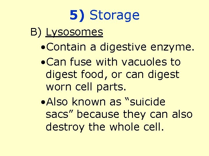 5) Storage B) Lysosomes • Contain a digestive enzyme. • Can fuse with vacuoles