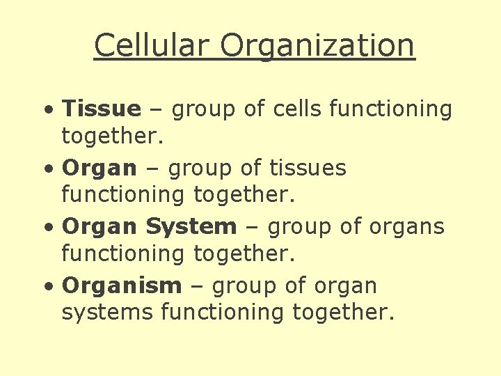 Cellular Organization • Tissue – group of cells functioning together. • Organ – group