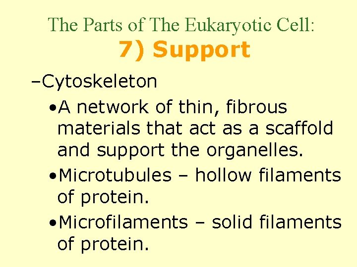 The Parts of The Eukaryotic Cell: 7) Support –Cytoskeleton • A network of thin,