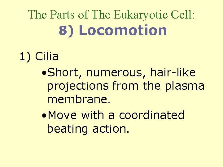 The Parts of The Eukaryotic Cell: 8) Locomotion 1) Cilia • Short, numerous, hair-like