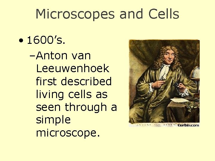 Microscopes and Cells • 1600’s. –Anton van Leeuwenhoek first described living cells as seen