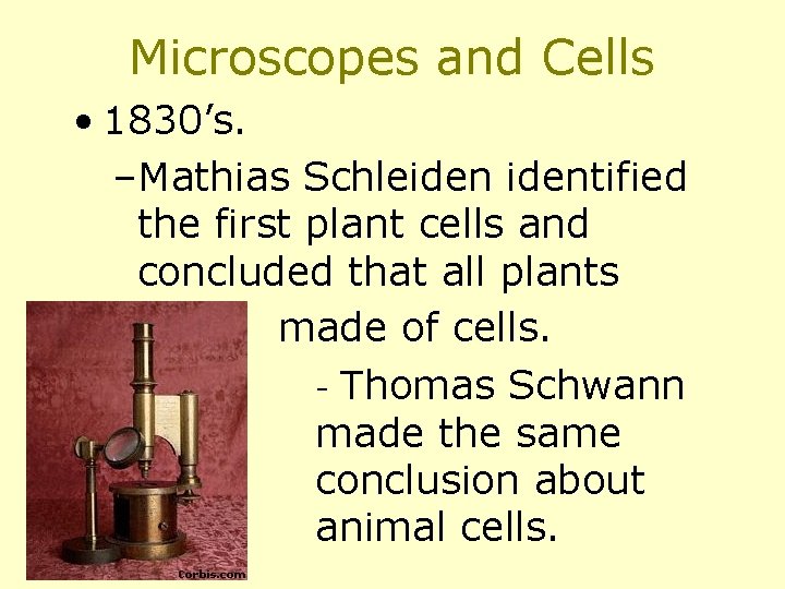 Microscopes and Cells • 1830’s. –Mathias Schleidentified the first plant cells and concluded that
