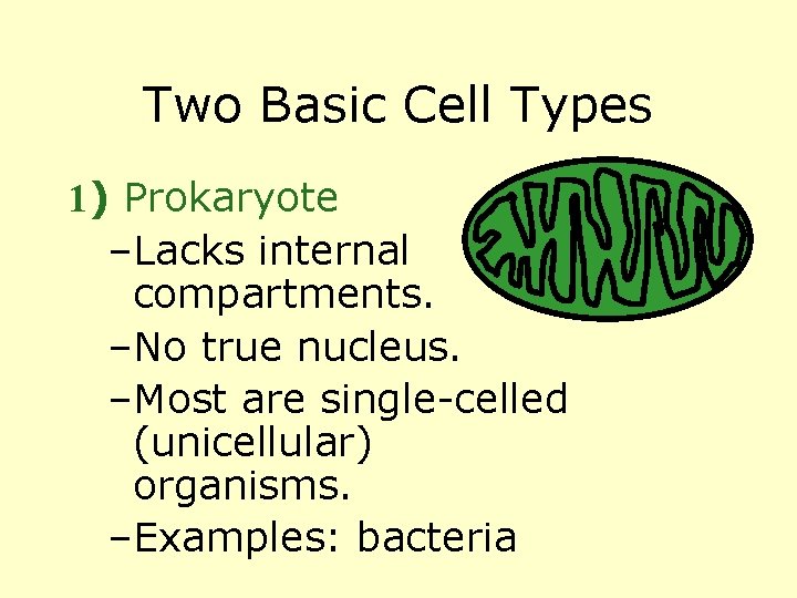 Two Basic Cell Types 1) Prokaryote –Lacks internal compartments. –No true nucleus. –Most are