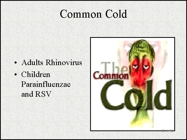 Common Cold • Adults Rhinovirus • Children Parainfluenzae and RSV 38 / 42 