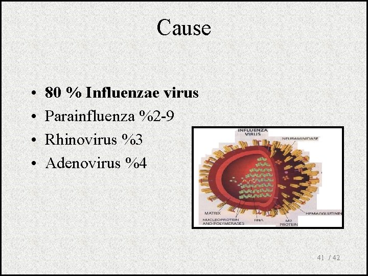 Cause • • 80 % Influenzae virus Parainfluenza %2 -9 Rhinovirus %3 Adenovirus %4