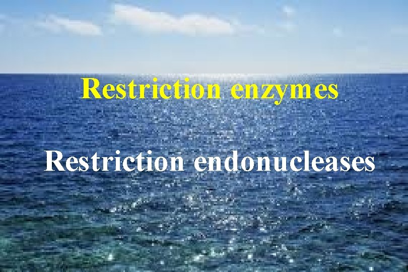  Restriction enzymes Restriction endonucleases 