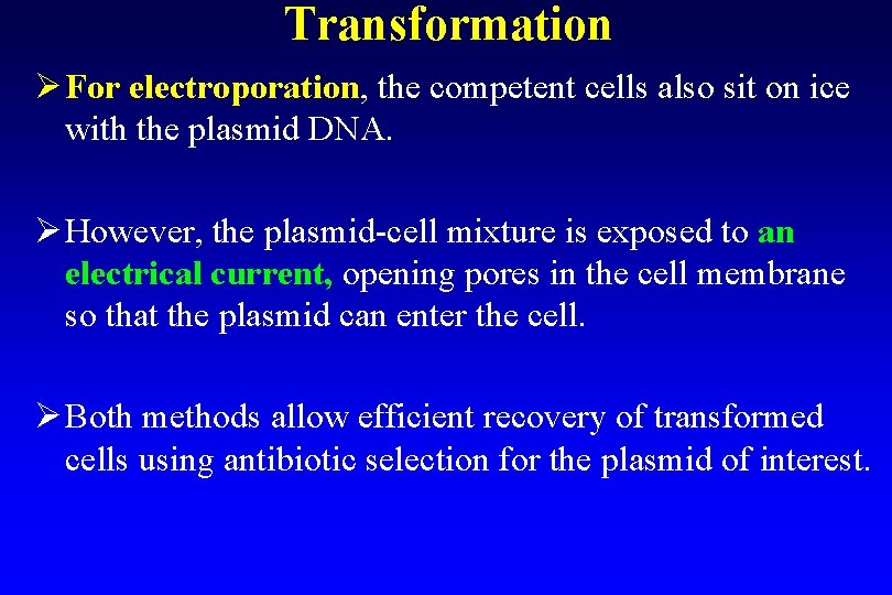 Transformation Ø For electroporation, the competent cells also sit on ice with the plasmid