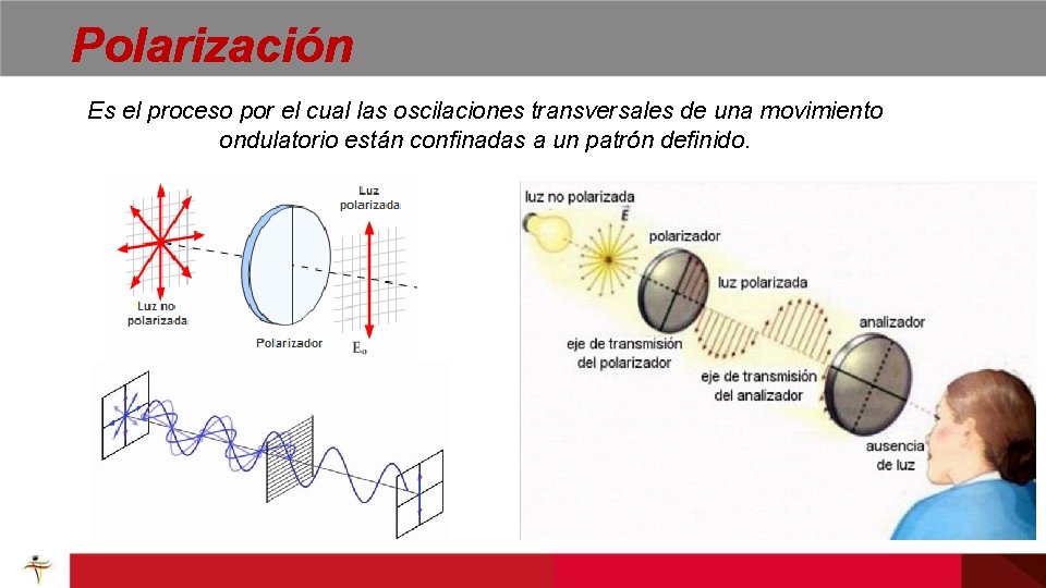 Polarización Es el proceso por el cual las oscilaciones transversales de una movimiento ondulatorio Polarización Es el proceso por el cual las oscilaciones transversales de una movimiento ondulatorio