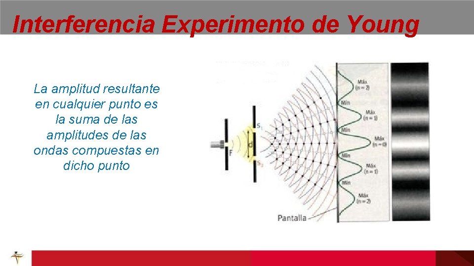 Interferencia Experimento de Young La amplitud resultante en cualquier punto es la suma de Interferencia Experimento de Young La amplitud resultante en cualquier punto es la suma de