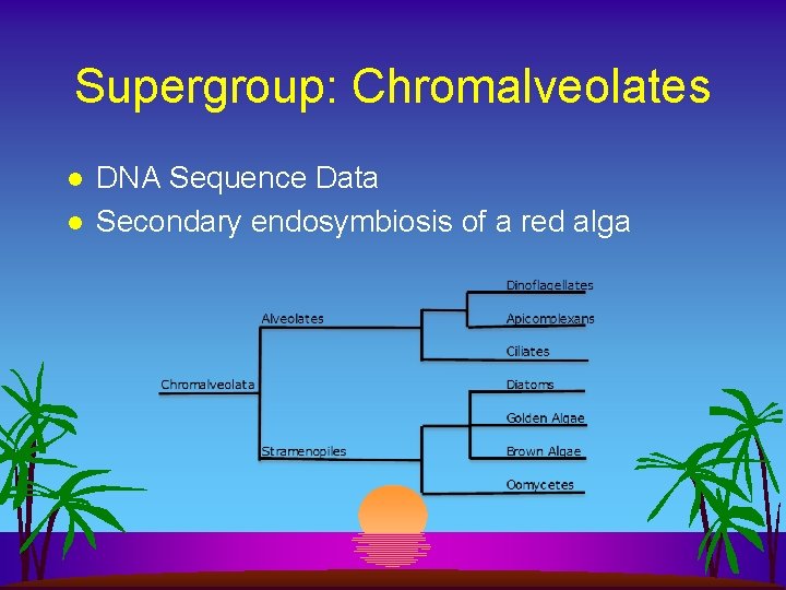 Supergroup: Chromalveolates l l DNA Sequence Data Secondary endosymbiosis of a red alga 