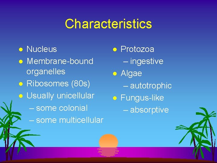 Characteristics l l Nucleus Membrane-bound organelles Ribosomes (80 s) Usually unicellular – some colonial