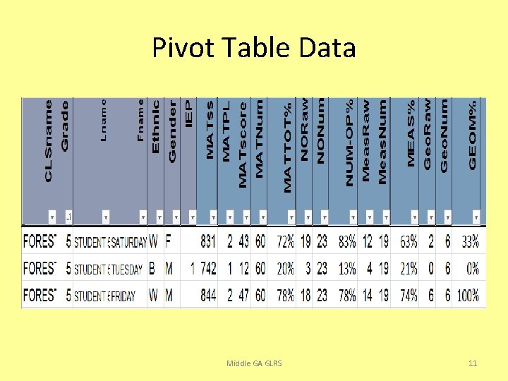 Pivot Table Data Middle GA GLRS 11 