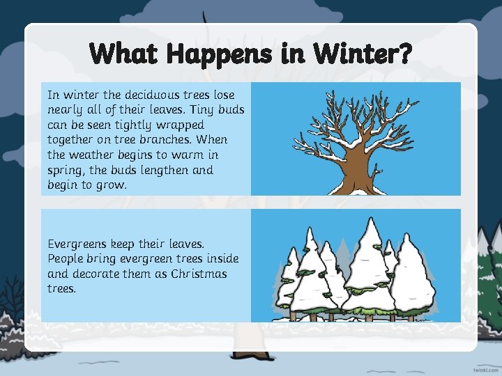 What Happens in Winter? In winter the deciduous trees lose nearly all of their