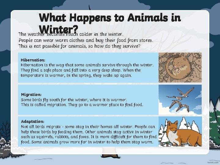 What Happens to Animals in Winter? The weather becomes much colder in the winter.