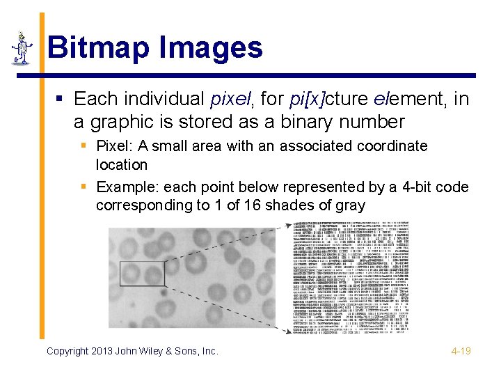 Bitmap Images § Each individual pixel, for pi[x]cture element, in a graphic is stored