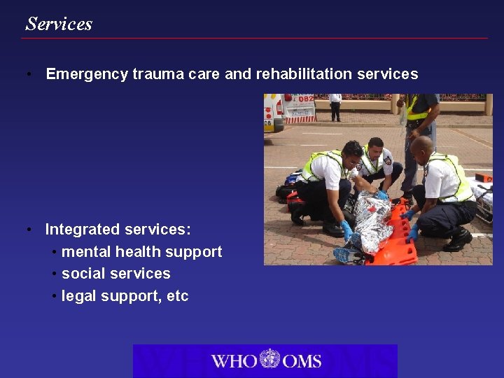 Services • Emergency trauma care and rehabilitation services • Integrated services: • mental health