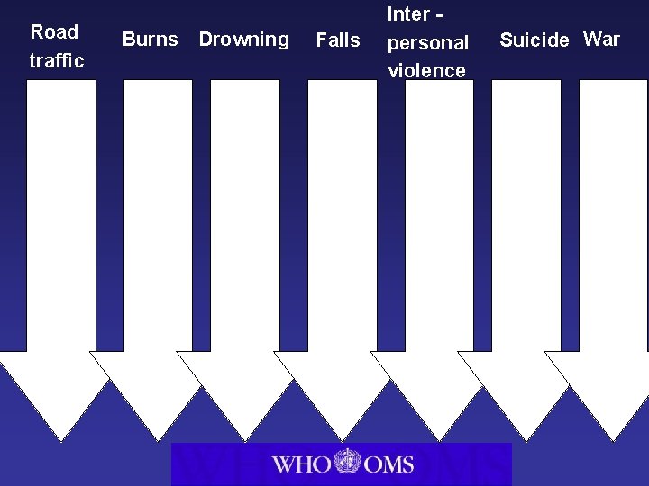 Road traffic Burns Drowning Health Trans port Police Interior Falls Inter personal violence Suicide