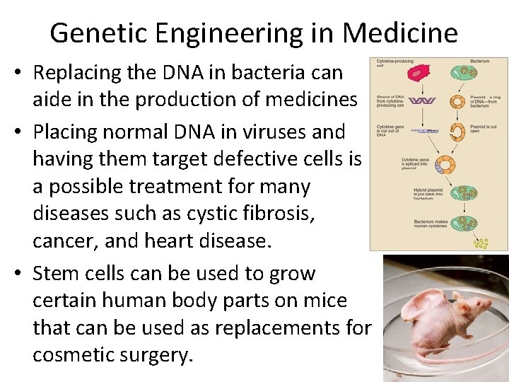 Genetic Engineering in Medicine • Replacing the DNA in bacteria can aide in the