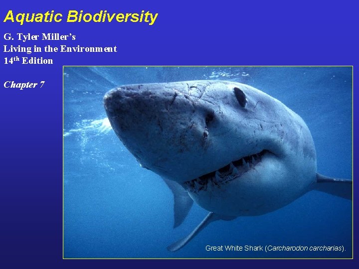Aquatic Biodiversity G. Tyler Miller’s Living in the Environment 14 th Edition Chapter 7