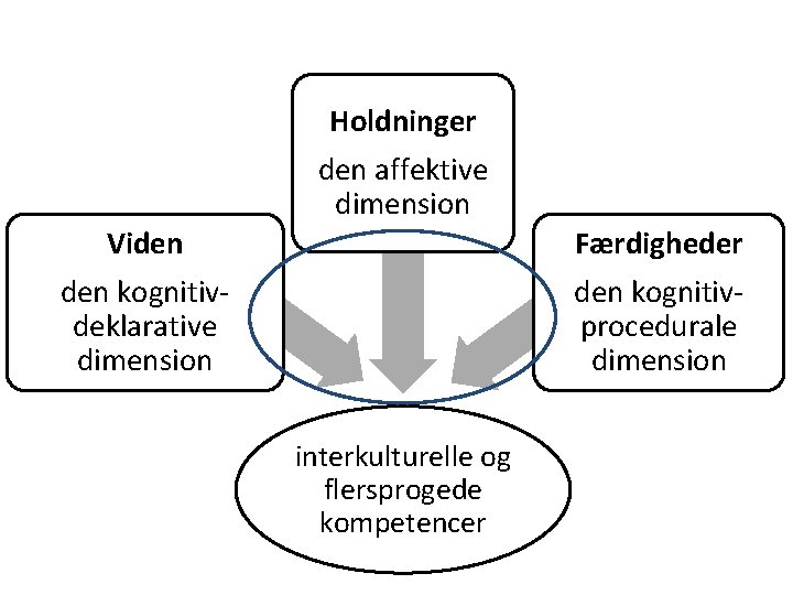 Holdninger den affektive dimension Færdigheder den kognitivprocedurale dimension Viden kognitivdeklarative dimension interkulturelle og flersprogede