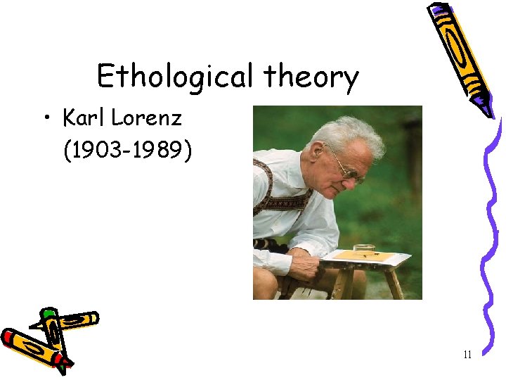 Ethological theory • Karl Lorenz (1903 -1989) 11 