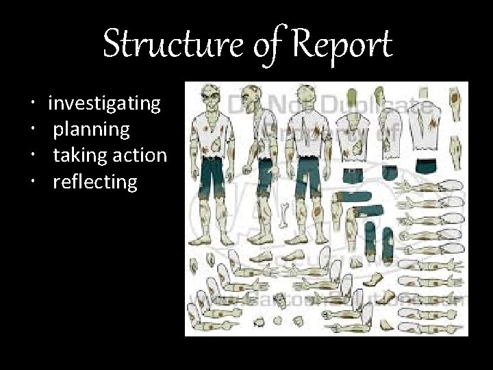 Structure of Report investigating planning taking action reflecting 