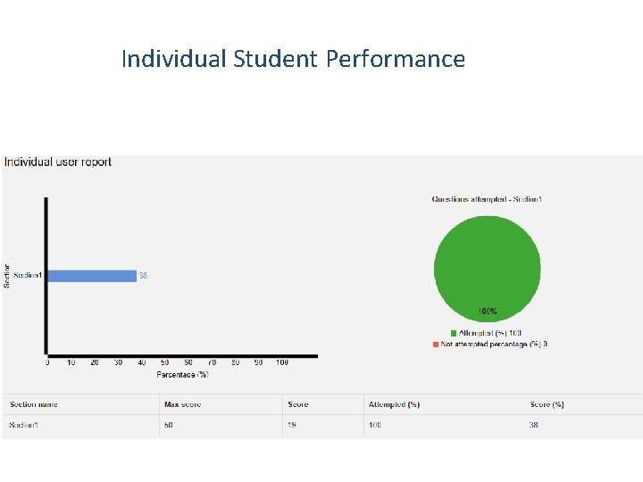 Individual Student Performance 