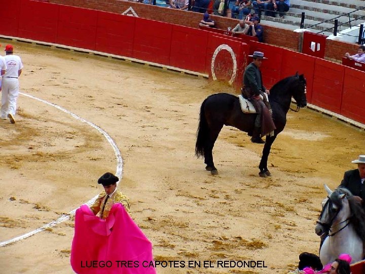 LUEGO TRES CAPOTES EN EL REDONDEL 