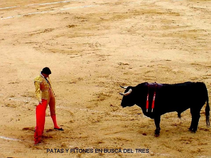 PATAS Y PITONES EN BUSCA DEL TRES 