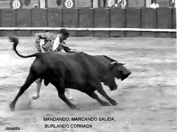 MANDANDO, MARCANDO SALIDA, Joselito BURLANDO CORNADA 