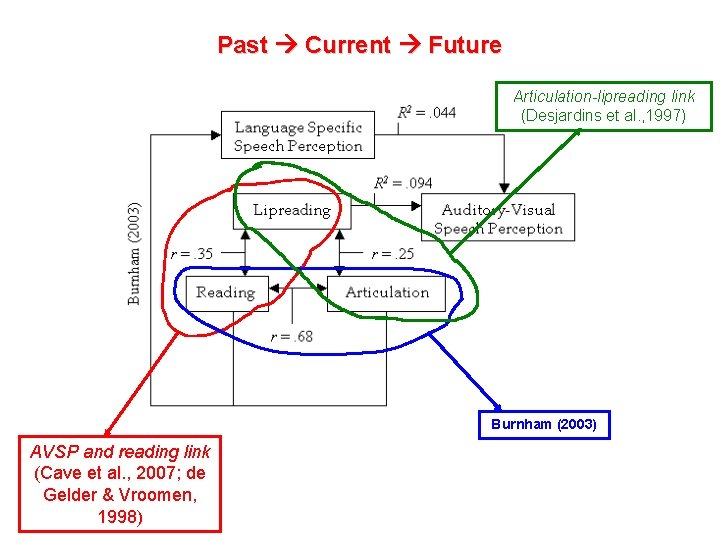 Past Current Future Articulation-lipreading link (Desjardins et al. , 1997) Burnham (2003) AVSP and