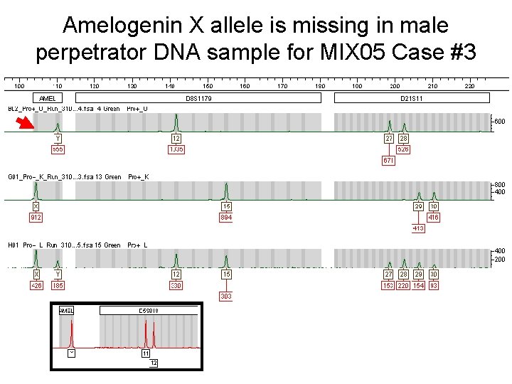 Amelogenin X allele is missing in male perpetrator DNA sample for MIX 05 Case