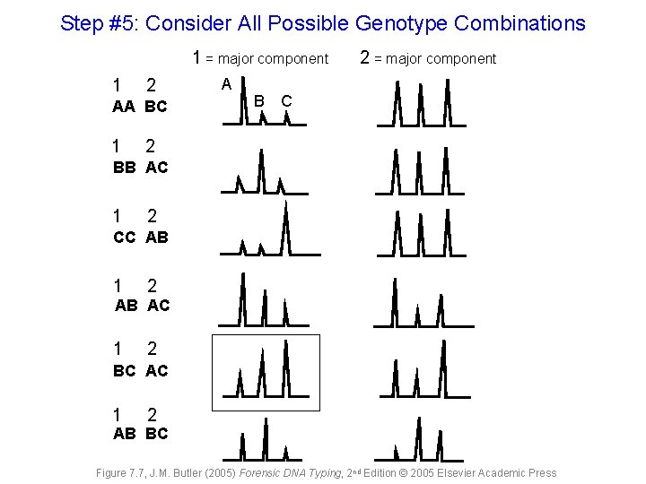 Step #5: Consider All Possible Genotype Combinations 1 = major component 1 2 AA