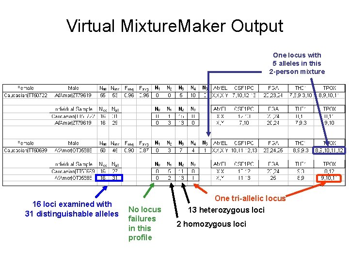 Virtual Mixture. Maker Output One locus with 5 alleles in this 2 -person mixture