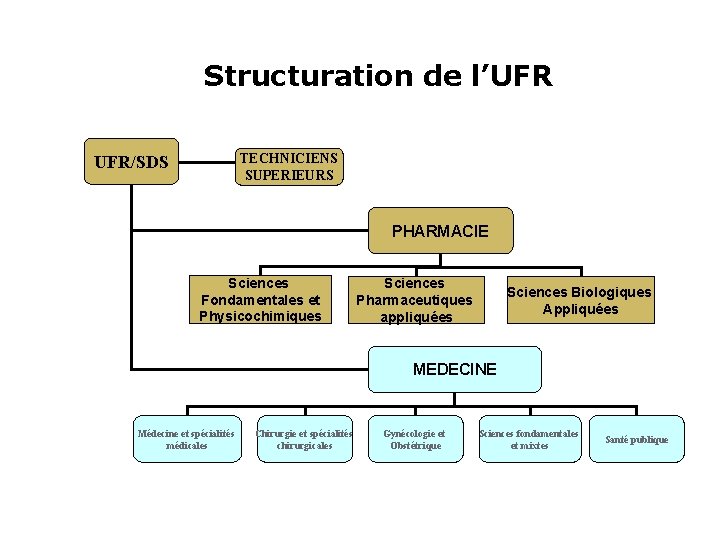 Structuration de l’UFR TECHNICIENS SUPERIEURS UFR/SDS PHARMACIE Sciences Fondamentales et Physicochimiques Sciences Pharmaceutiques appliquées