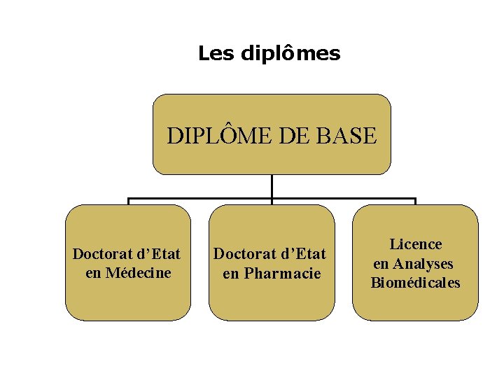 Les diplômes DIPLÔME DE BASE Doctorat d’Etat en Médecine Doctorat d’Etat en Pharmacie Licence