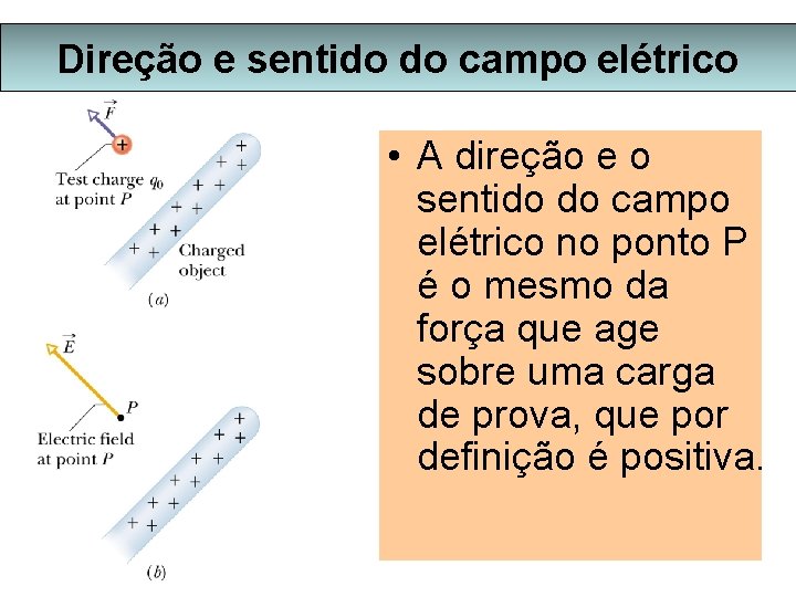 Direção e sentido do campo elétrico • A direção e o sentido do campo