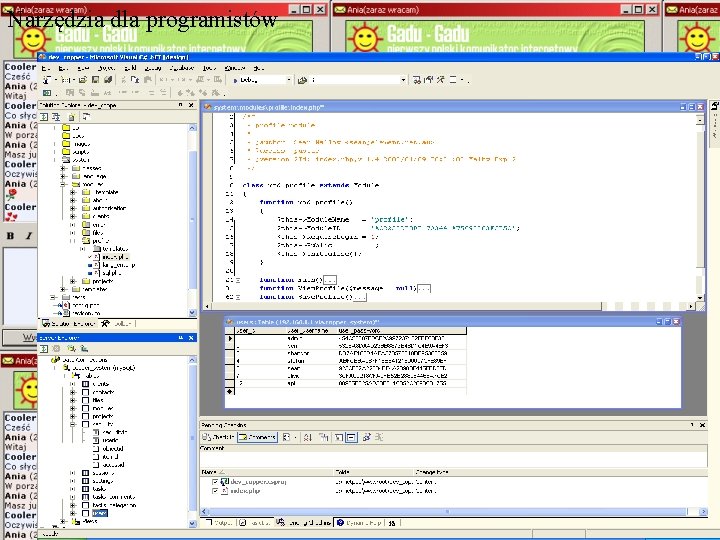 Narzędzia dla programistów 