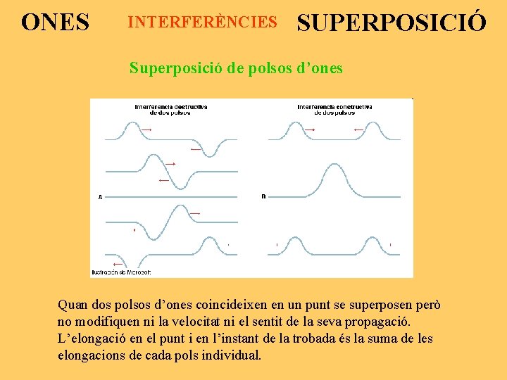 ONES INTERFERÈNCIES SUPERPOSICIÓ Superposició de polsos d’ones Quan dos polsos d’ones coincideixen en un