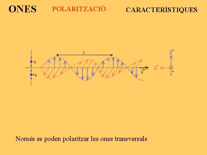 ONES POLARITZACIÓ CARACTERÍSTIQUES Només es poden polaritzar les ones transversals 