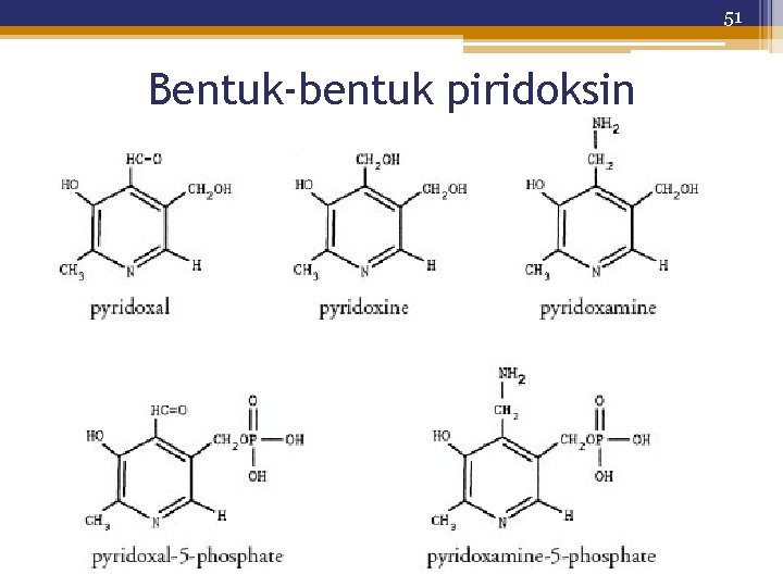 51 Bentuk-bentuk piridoksin 
