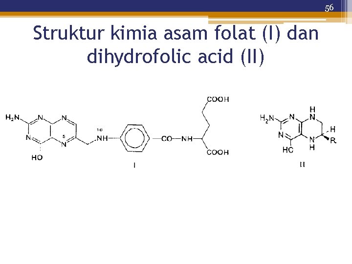 56 Struktur kimia asam folat (I) dan dihydrofolic acid (II) 