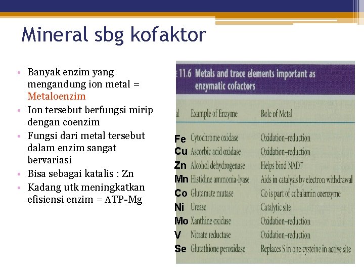 Mineral sbg kofaktor • Banyak enzim yang mengandung ion metal = Metaloenzim • Ion